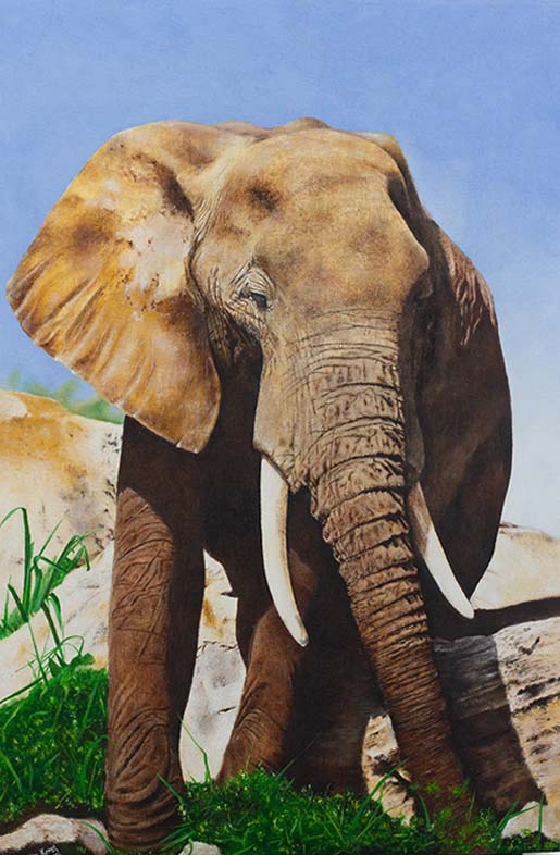 African Elephant Paintings | Kevogo Yavetsi