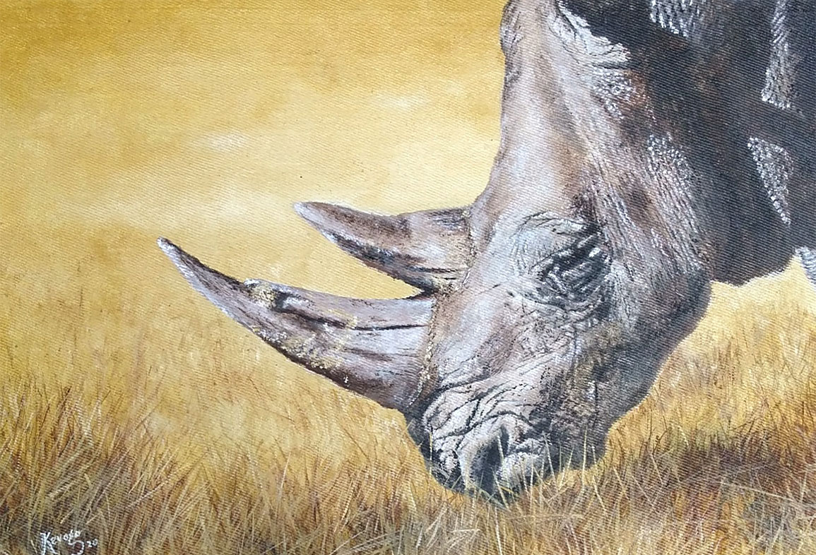 White Rhinoceros grazing at wild